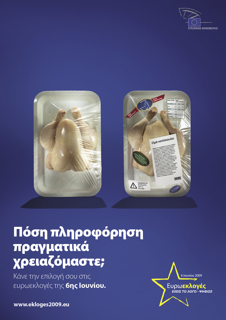 European elections 2009 campain