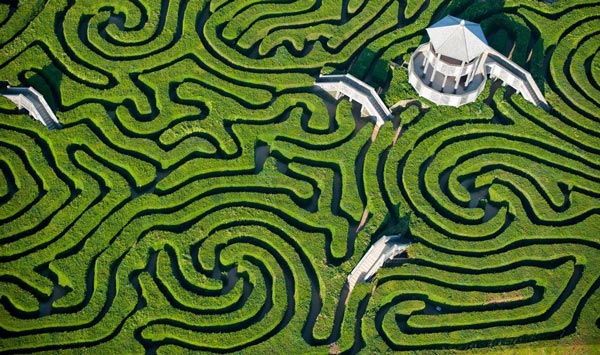 Longleat Maze Hedge