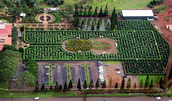 Dole Plantation Pineapple Maze Garden