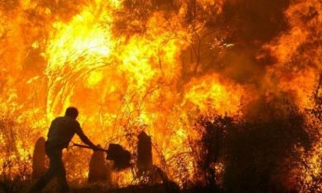 Αποτέλεσμα εικόνας για πυρκαγια 2007 πελοπόννησος