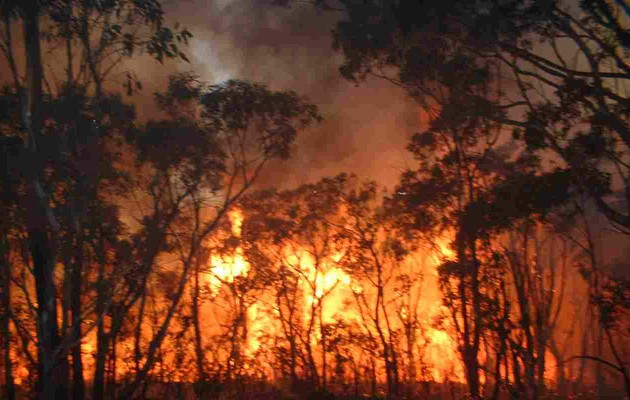 18,4 εκατ. ευρώ προς τους δήμους για αντιμετώπιση δασικών πυρκαγιών
