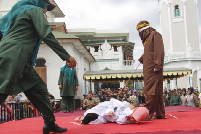 mastigoma_indonisia3