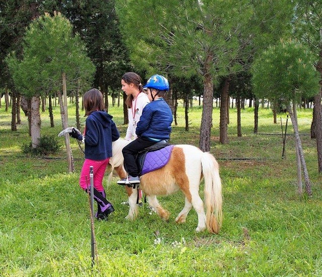δραστηριότητες με πόνυ για τα παιδιά στους χώρους του ιπποδρόμου