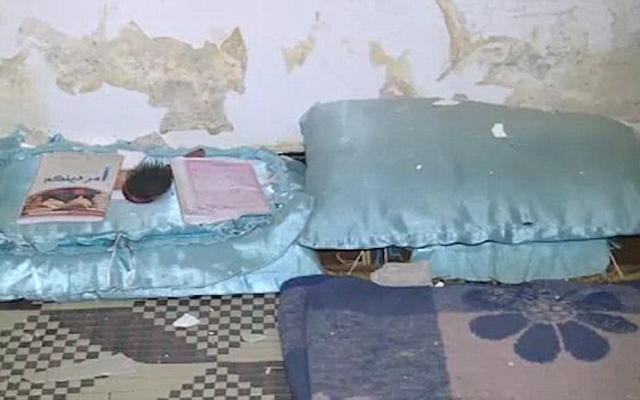 ervtiks sklaves isis