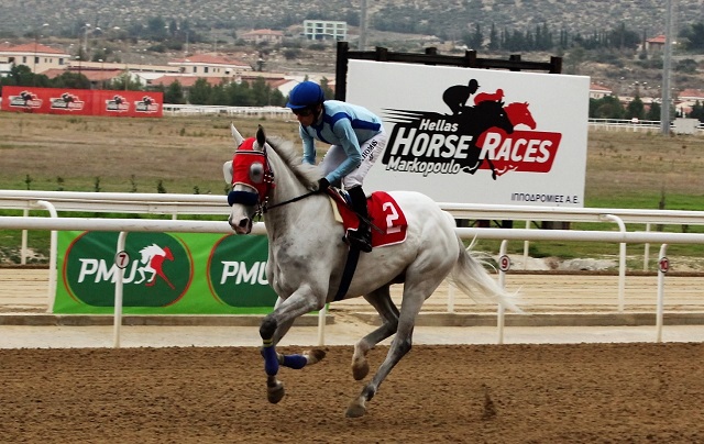 5-o-gallos-anavatis-ronan-thomas