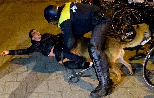 Με σκυλιά και ιππικό διέλυσε η ολλανδική Αστυνομία τον τουρκικό ισλαμιστικό όχλο στο Ρότερνταμ (βίντεο)