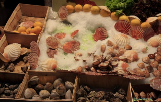 Απαγόρευση ελεύθερης συλλογής οστρακοειδών στον Αμβρακικό Κόλπο