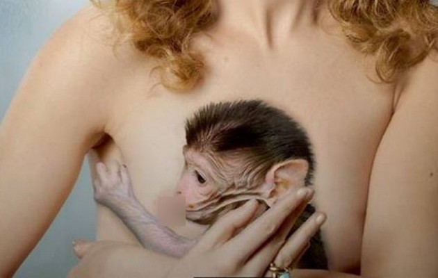 Κόρη πρώην υπουργού… θηλάζει πίθηκο για τις ανάγκες της φωτογράφισης