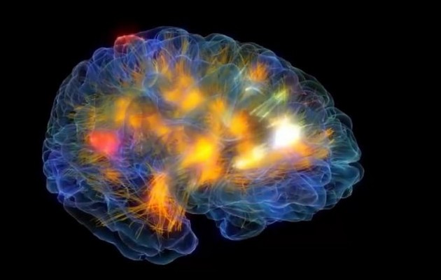 Δείτε τον ανθρώπινο εγκέφαλο σε τρισδιάστατη απεικόνιση