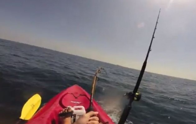 Έπιασε καρχαρία και τον έσυρε 12 μίλια (βίντεο)
