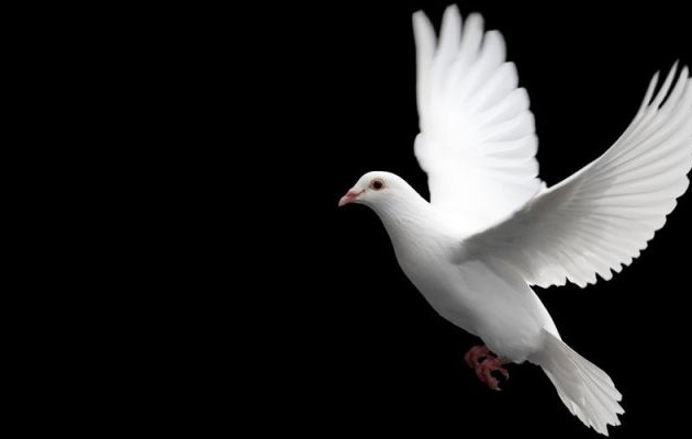 Μια από τα ίδια…