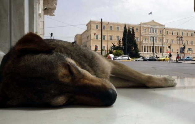 Αυτοί μας κυβερνούν… Θαυμάστε τους!