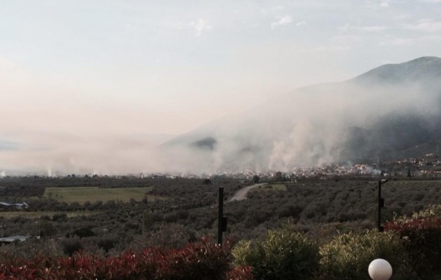 Φωτογραφία: Πήρε… φωτιά η Αταλάντη