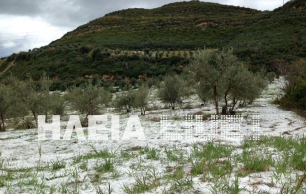 Μεγάλες καταστροφές από χαλάζι στην Ηλεία