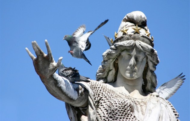 Οικολόγοι Πράσινοι: Η θρησκευτική ελευθερία είναι αδιαπραγμάτευτο δικαίωμα