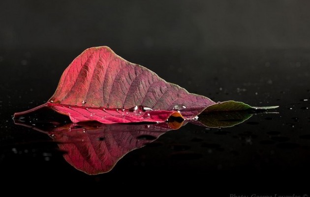 Μια φωτογραφία ακόμα… αμέτρητες λέξεις και συναισθήματα!