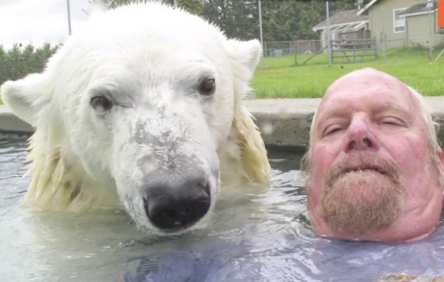Κολυμπάει και βγάζει selfies με την… πολική αρκούδα του (βίντεο)