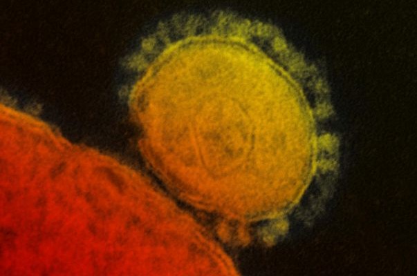 Δεν έχουν Mers όσοι ήρθαν σε επαφή με τον ασθενή