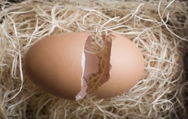 Τα τσόφλια των αυγών θα χρησιμοποιούνται στα καλλυντικά