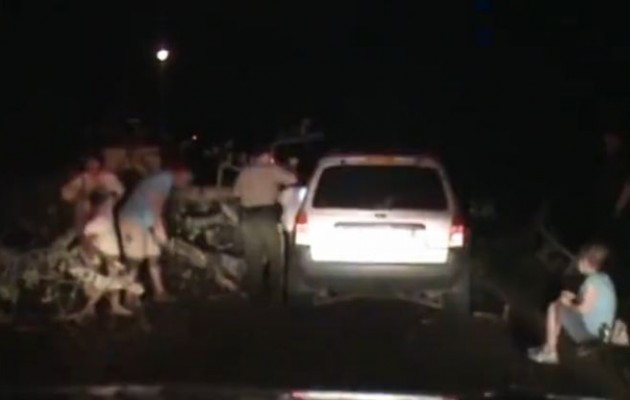 Δέντρο έπεσε σε αστυνομικό την ώρα της περιπολίας (βίντεο)