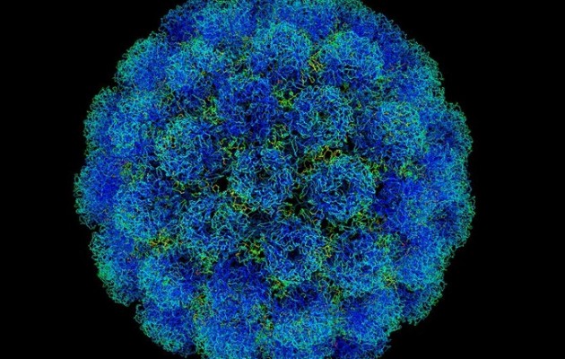 Πότε να ανησυχήσω με τις κρεατοελιές;