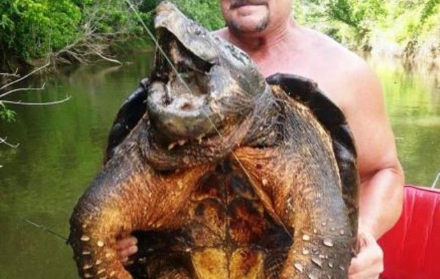 Ψαράς έπιασε προϊστορικό… τέρας (εικόνα)