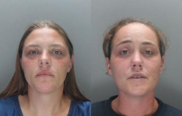 Άφησαν πεινασμένο το σκυλί τους κι έφαγε ζωντανό το γείτονα (εικόνες)