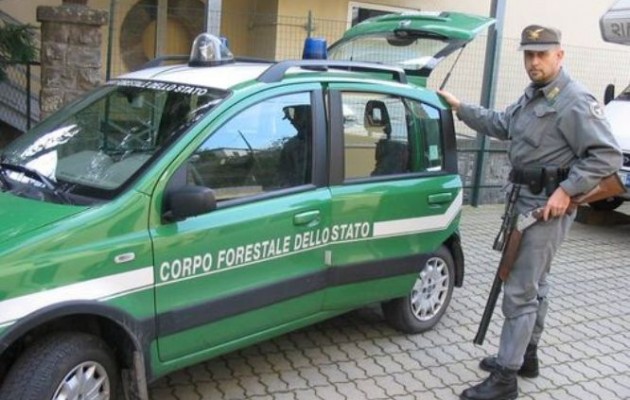 ΕΛΑΣ: Εκπαίδευσε Ιταλίδα αστυνομικό στο ηλεκτρονικό έγκλημα