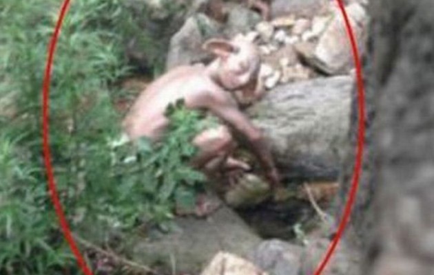 Λύθηκε το μυστήριο με το “Γκόλουμ” που φωτογραφήθηκε στην Κίνα