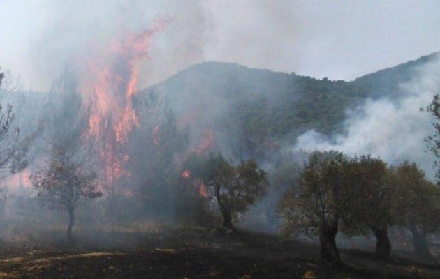 Υπό μερικό έλεγχο η πυρκαγιά στη Μυτιλήνη