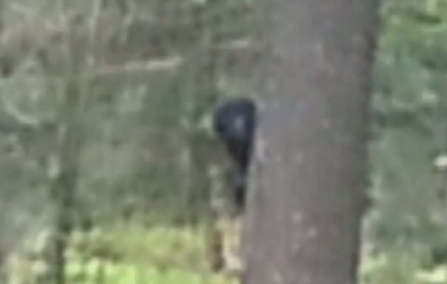 Ολλανδία: Κοροϊδεύουν και αναστατώνουν τον κόσμο με δήθεν “τέρας”  (βίντεο)