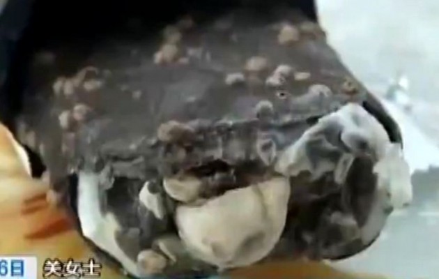 Κίνα: Παγωτό με γέμιση… κομμένο δάκτυλο (βίντεο)