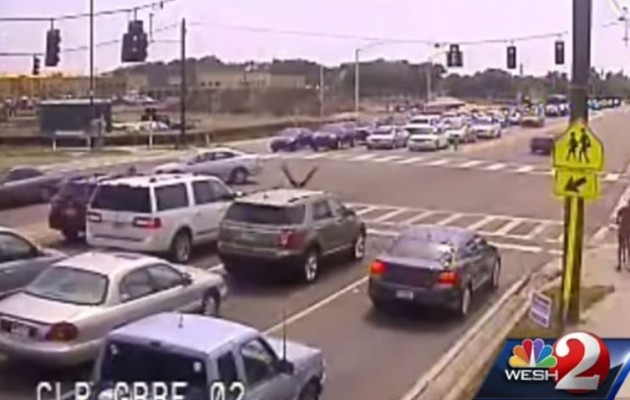 Φλόριντα: Μοτοσικλετιστής σώζεται μετά από σφοδρή σύγκρουση και 2 flip flop (βίντεο)
