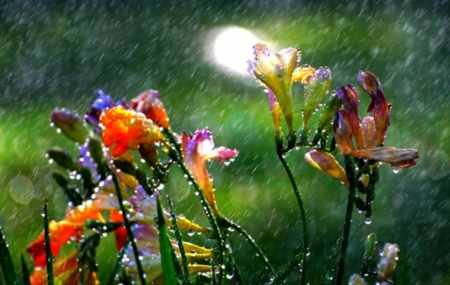 Καιρός: Συννεφιά και βροχές στα ηπειρωτικά ορεινά