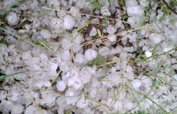 Ολοσχερής καταστροφή των καλλιεργειών στα Φάρσαλα από το χαλάζι