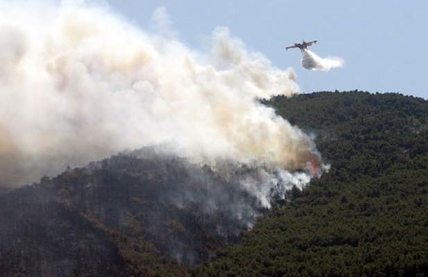 Συνελήφθη 35χρονος Λετονός που είχε πυρπολήσει το Άγιο Όρος το 2012 (βίντεο)