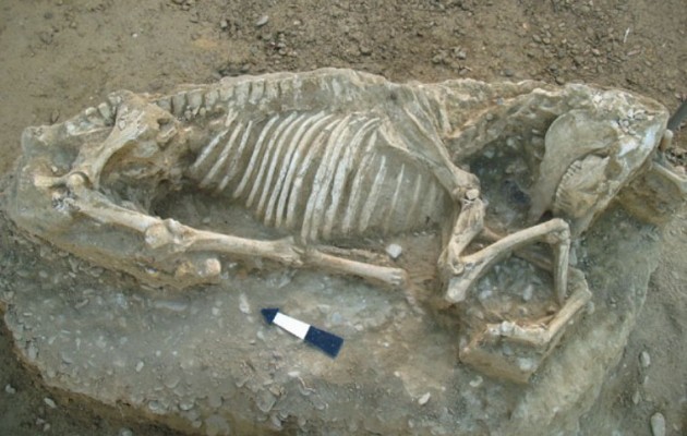 Στο φως αρχαϊκό νεκροταφείο του 7ου π.Χ. αιώνα στη Χίο