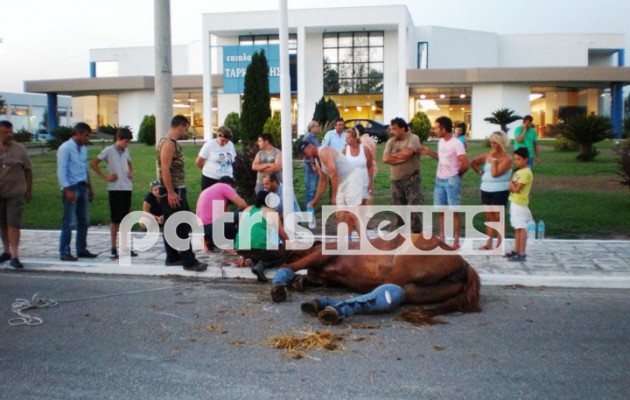 Τραυματισμός αλόγου στην εθνική οδό