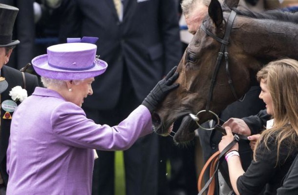 Κλονίζεται το στέμμα στην Βρετανία: Το βασιλικό άλογο ήταν ντοπέ (βίντεο)