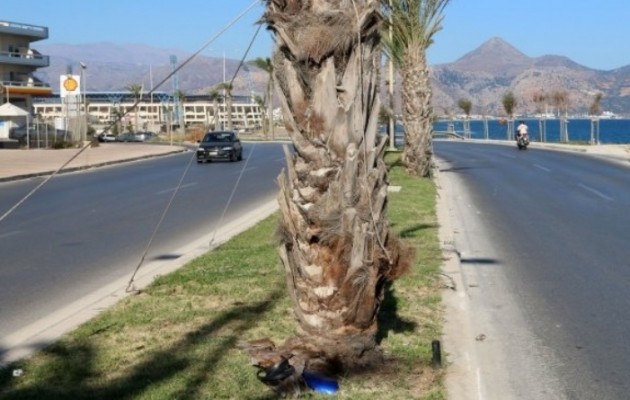 Τραγωδία στην Κρήτη: 36χρονος σκοτώθηκε στα σχοινιά ενός φοίνικα (εικόνες)
