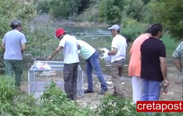 Αυστριακός ερπετολόγος ψάχνει τον κροκόδειλο στην Κρήτη