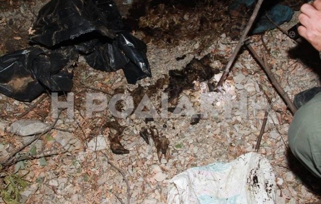 Σκότωσαν ελάφι στη Ρόδο και το πέταξαν στα σκουπίδια (βίντεο)