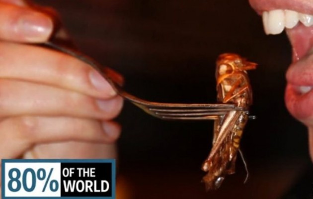 Αηδιαστικό: Το 2050 θα τρεφόμαστε με έντομα
