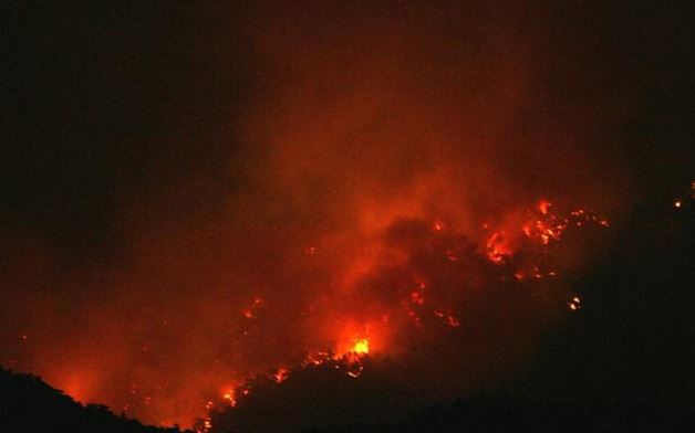 Απανθρακωμένο πτώμα από πυρκαγιά σε δασική περιοχή στο Μαντούδι Εύβοιας