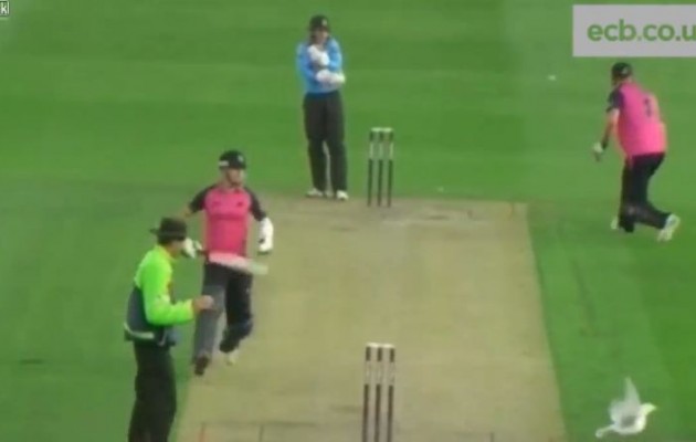 Κρίκετ: Με την απόκρουση χτύπησε… γλάρο (βίντεο)