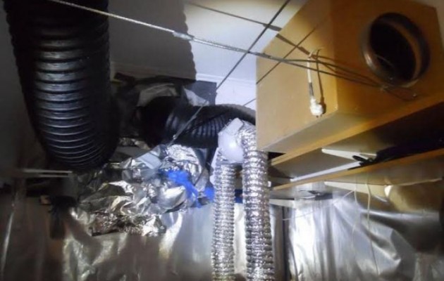 Χαλκίδα: Είχε μετατρέψει το υπόγειο του σπιτιού του σε εργαστήριο υδροπονικής κάνναβης