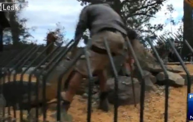 Σοκ: Κροκόδειλος στην Αυστραλία δαγκώνει το χέρι του εκπαιδευτή (βίντεο)