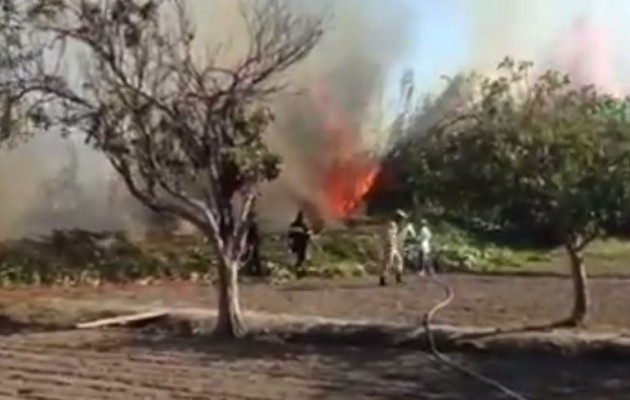 Συναγερμός στην Πάτρα: Απειλούνται σπίτια από τη φωτιά (βίντεο)