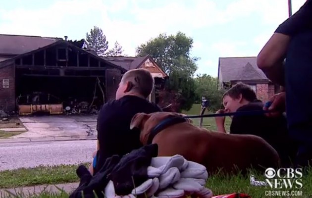 ΗΠΑ: Ηρωικός σκύλος σώζει 13χρονο κωφό από το φλεγόμενο σπίτι (βίντεο)