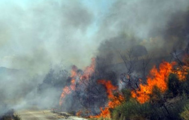 Φωτιά στην Κέρκυρα: Μήνυμα από το 112 για εκκένωση 5 περιοχών